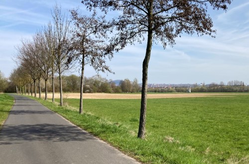 Fulda-Radweg