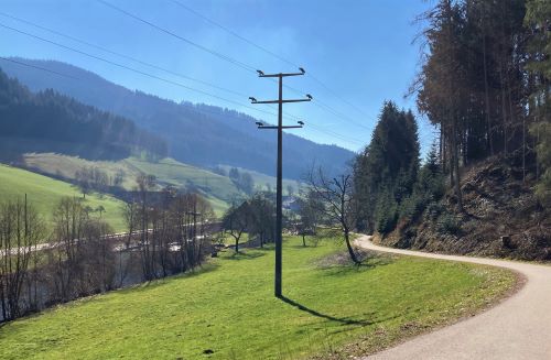 Schwarzwald
