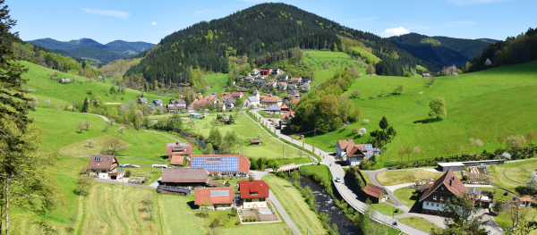 Oberwolfach-Walke